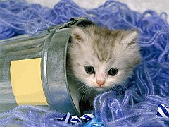 Hide and Seek Time